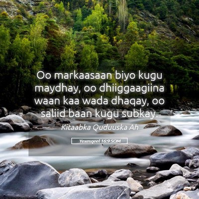 Picture 05 - Yexesqeel 16:9 SOM - Oo markaasaan biyo kugu maydhay, oo dhiiggaagiina - Bible Verse Picture