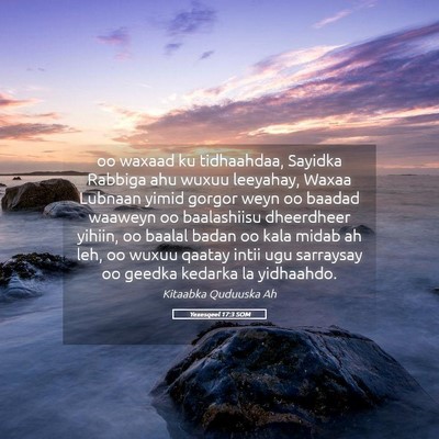 Picture 05 - Yexesqeel 17:3 SOM - oo waxaad ku tidhaahdaa, Sayidka Rabbiga ahu - Bible Verse Picture