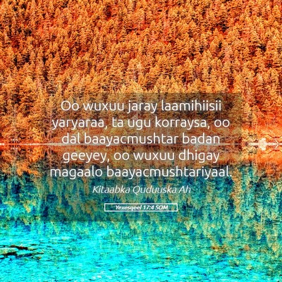 Picture 05 - Yexesqeel 17:4 SOM - Oo wuxuu jaray laamihiisii yaryaraa, ta ugu - Bible Verse Picture