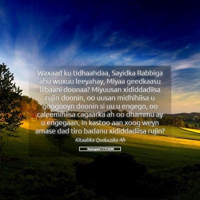 Picture 05 - Yexesqeel 17:9 SOM - Waxaad ku tidhaahdaa, Sayidka Rabbiga ahu wuxuu - Bible Verse Picture