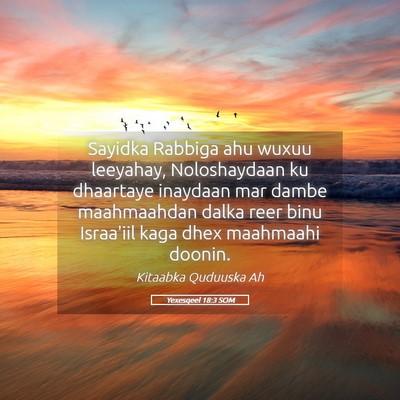Picture 05 - Yexesqeel 18:3 SOM - Sayidka Rabbiga ahu wuxuu leeyahay, Noloshaydaan - Bible Verse Picture