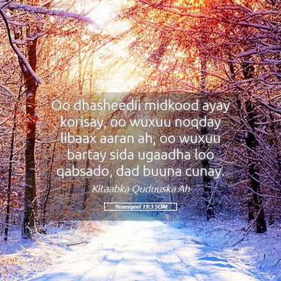 Picture 05 - Yexesqeel 19:3 SOM - Oo dhasheedii midkood ayay korisay, oo wuxuu - Bible Verse Picture