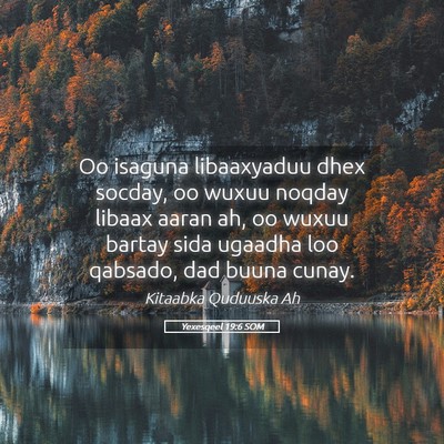 Picture 05 - Yexesqeel 19:6 SOM - Oo isaguna libaaxyaduu dhex socday, oo wuxuu - Bible Verse Picture