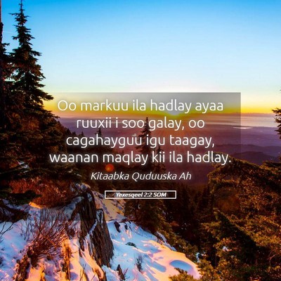 Picture 05 - Yexesqeel 2:2 SOM - Oo markuu ila hadlay ayaa ruuxii i soo galay, oo - Bible Verse Picture