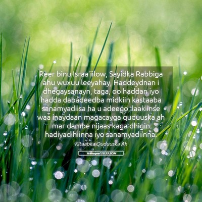 Picture 05 - Yexesqeel 20:39 SOM - Reer binu Israa'iilow, Sayidka Rabbiga ahu wuxuu - Bible Verse Picture