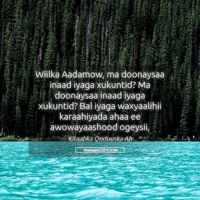 Picture 05 - Yexesqeel 20:4 SOM - Wiilka Aadamow, ma doonaysaa inaad iyaga - Bible Verse Picture
