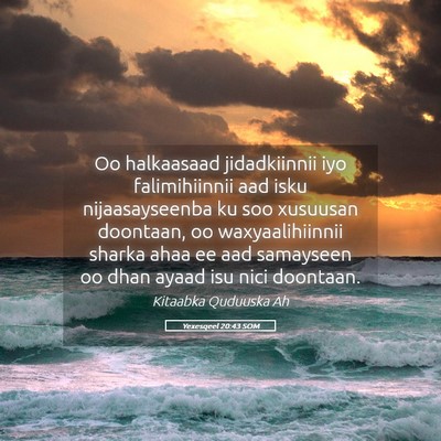Picture 05 - Yexesqeel 20:43 SOM - Oo halkaasaad jidadkiinnii iyo falimihiinnii aad - Bible Verse Picture