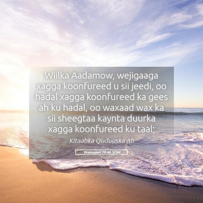 Picture 05 - Yexesqeel 20:46 SOM - Wiilka Aadamow, wejigaaga xagga koonfureed u sii - Bible Verse Picture