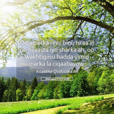 Picture 05 - Yexesqeel 21:25 SOM - Oo amiirka reer binu Israa'iil oo nijaasta iyo - Bible Verse Picture