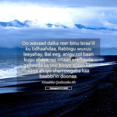 Picture 05 - Yexesqeel 21:3 SOM - Oo waxaad dalka reer binu Israa'iil ku - Bible Verse Picture