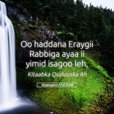 Picture 05 - Yexesqeel 21:8 SOM - Oo haddana Eraygii Rabbiga ayaa ii yimid isagoo - Bible Verse Picture