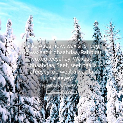 Picture 05 - Yexesqeel 21:9 SOM - Wiilka Aadamow, wax sii sheeg, oo waxaad - Bible Verse Picture