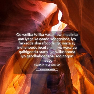 Picture 05 - Yexesqeel 24:25 SOM - Oo weliba Wiilka Aadamow, maalinta aan iyaga ka - Bible Verse Picture
