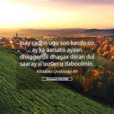 Picture 05 - Yexesqeel 24:8 SOM - Inay cadho ugu soo kacdo oo ay ka aarsato ayaan - Bible Verse Picture