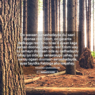 Picture 05 - Yexesqeel 25:14 SOM - Oo waxaan aarsashadayda dul saari doonaa reer - Bible Verse Picture