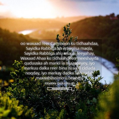 Picture 05 - Yexesqeel 25:3 SOM - oo waxaad reer Cammoon ku tidhaahdaa, Sayidka - Bible Verse Picture