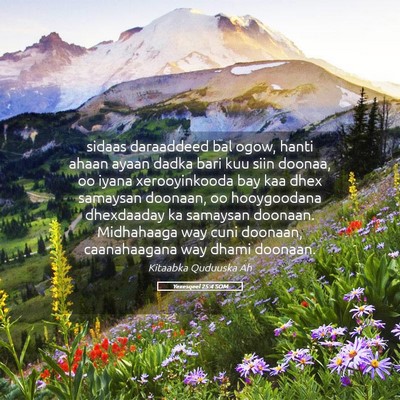 Picture 05 - Yexesqeel 25:4 SOM - sidaas daraaddeed bal ogow, hanti ahaan ayaan - Bible Verse Picture