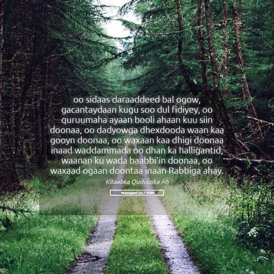 Picture 05 - Yexesqeel 25:7 SOM - oo sidaas daraaddeed bal ogow, gacantaydaan kugu - Bible Verse Picture