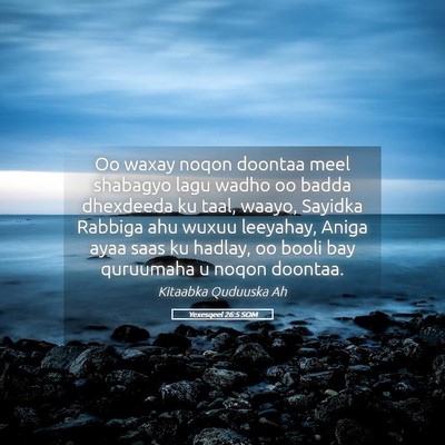 Picture 05 - Yexesqeel 26:5 SOM - Oo waxay noqon doontaa meel shabagyo lagu wadho - Bible Verse Picture