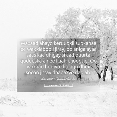 Picture 05 - Yexesqeel 28:14 SOM - Waxaad ahayd keruubkii subkanaa ee wax dabooli - Bible Verse Picture
