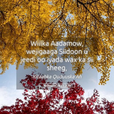 Picture 05 - Yexesqeel 28:21 SOM - Wiilka Aadamow, wejigaaga Siidoon u jeedi oo - Bible Verse Picture