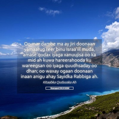 Picture 05 - Yexesqeel 28:24 SOM - Oo mar dambe ma ay jiri doonaan yamaarug reer - Bible Verse Picture
