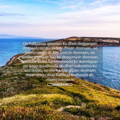 Picture 05 - Yexesqeel 28:26 SOM - Oo halkaasay ammaan ku dhex degganaan doonaan, oo - Bible Verse Picture
