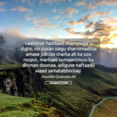Picture 05 - Yexesqeel 3:19 SOM - Laakiinse haddaad sharrowga u digto, oo uusan - Bible Verse Picture