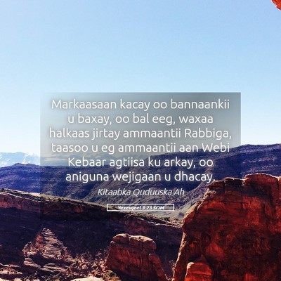 Picture 05 - Yexesqeel 3:23 SOM - Markaasaan kacay oo bannaankii u baxay, oo bal - Bible Verse Picture