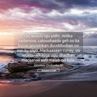 Picture 05 - Yexesqeel 3:3 SOM - Oo wuxuu igu yidhi, Wiilka Aadamow, calooshaada - Bible Verse Picture