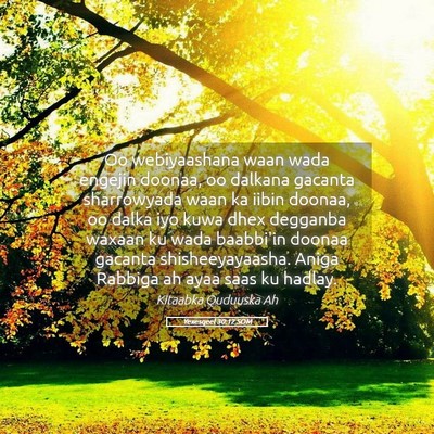 Picture 05 - Yexesqeel 30:12 SOM - Oo webiyaashana waan wada engejin doonaa, oo - Bible Verse Picture