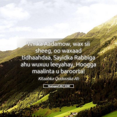 Picture 05 - Yexesqeel 30:2 SOM - Wiilka Aadamow, wax sii sheeg, oo waxaad - Bible Verse Picture