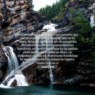 Picture 05 - Yexesqeel 31:12 SOM - Shisheeyayaashii ahaa kuwii quruumaha ugu nac - Bible Verse Picture