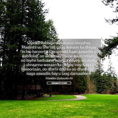 Picture 05 - Yexesqeel 31:15 SOM - Sayidka Rabbiga ahu wuxuu leeyahay, Maalintii uu - Bible Verse Picture