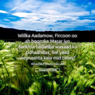 Picture 05 - Yexesqeel 31:2 SOM - Wiilka Aadamow, Fircoon oo ah boqorka Masar iyo - Bible Verse Picture