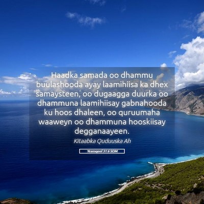 Picture 05 - Yexesqeel 31:6 SOM - Haadka samada oo dhammu buulashooda ayay - Bible Verse Picture