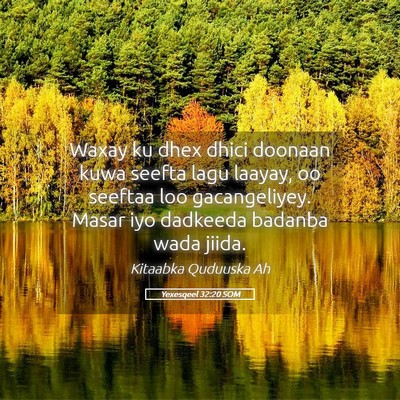 Picture 05 - Yexesqeel 32:20 SOM - Waxay ku dhex dhici doonaan kuwa seefta lagu - Bible Verse Picture