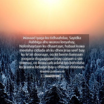 Picture 05 - Yexesqeel 33:27 SOM - Waxaad iyaga ku tidhaahdaa, Sayidka Rabbiga ahu - Bible Verse Picture