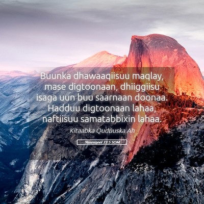 Picture 05 - Yexesqeel 33:5 SOM - Buunka dhawaaqiisuu maqlay, mase digtoonaan, - Bible Verse Picture
