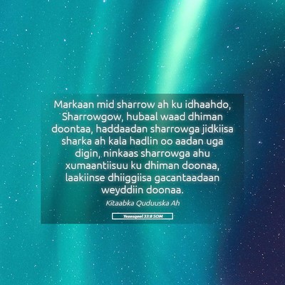 Picture 05 - Yexesqeel 33:8 SOM - Markaan mid sharrow ah ku idhaahdo, Sharrowgow, - Bible Verse Picture