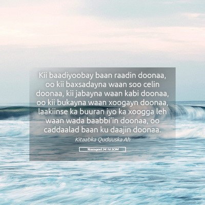 Picture 05 - Yexesqeel 34:16 SOM - Kii baadiyoobay baan raadin doonaa, oo kii - Bible Verse Picture