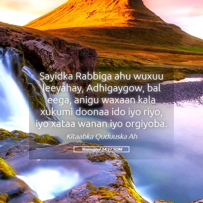 Picture 05 - Yexesqeel 34:17 SOM - Sayidka Rabbiga ahu wuxuu leeyahay, Adhigaygow, - Bible Verse Picture