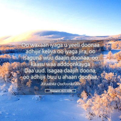 Picture 05 - Yexesqeel 34:23 SOM - Oo waxaan iyaga u yeeli doonaa adhijir keliya oo - Bible Verse Picture