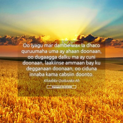 Picture 05 - Yexesqeel 34:28 SOM - Oo iyagu mar dambe wax la dhaco quruumaha uma ay - Bible Verse Picture