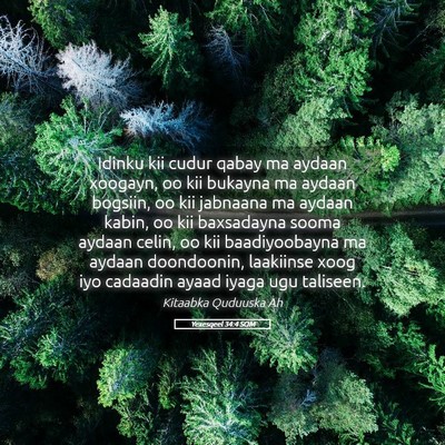 Picture 05 - Yexesqeel 34:4 SOM - Idinku kii cudur qabay ma aydaan xoogayn, oo kii - Bible Verse Picture