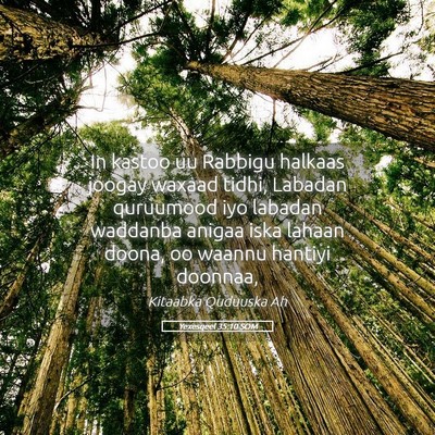 Picture 05 - Yexesqeel 35:10 SOM - In kastoo uu Rabbigu halkaas joogay waxaad tidhi, - Bible Verse Picture