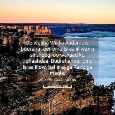 Picture 05 - Yexesqeel 36:1 SOM - Oo weliba Wiilka Aadamow, buuraha reer binu - Bible Verse Picture