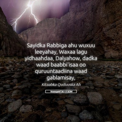 Picture 05 - Yexesqeel 36:13 SOM - Sayidka Rabbiga ahu wuxuu leeyahay, Waxaa lagu - Bible Verse Picture