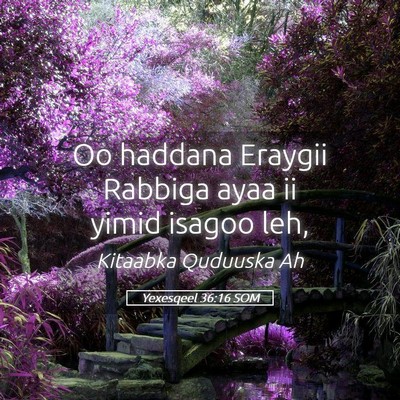 Picture 05 - Yexesqeel 36:16 SOM - Oo haddana Eraygii Rabbiga ayaa ii yimid isagoo - Bible Verse Picture