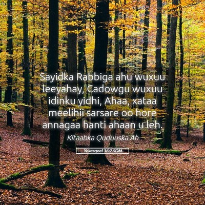 Picture 05 - Yexesqeel 36:2 SOM - Sayidka Rabbiga ahu wuxuu leeyahay, Cadowgu wuxuu - Bible Verse Picture